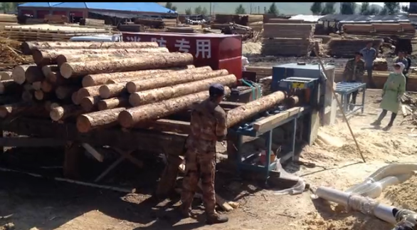 多片鋸 圓木多片鋸250型滿洲里客戶加工現(xiàn)場(chǎng)