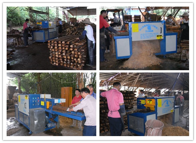 廣東梅州五華長(zhǎng)布-原木多片鋸工作圖