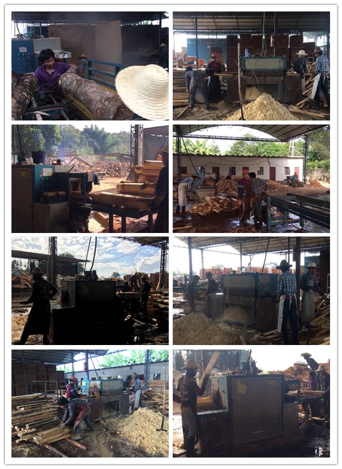 云南省德宏芒市--原木多片鋸、方木多片鋸工作圖