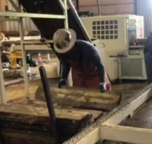 原木多片鋸生產(chǎn)線