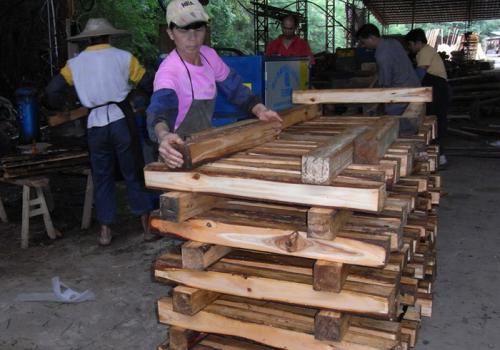 廣東省-惠州方木多片鋸150高加工現(xiàn)場1