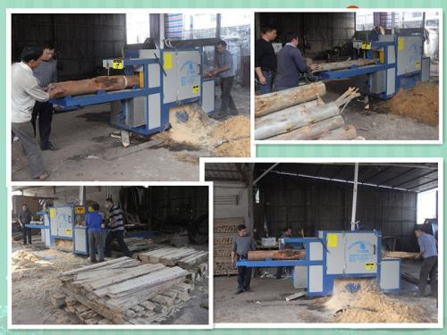 廣東-中山-鋸桉木25原木多片鋸加工現(xiàn)場(chǎng)