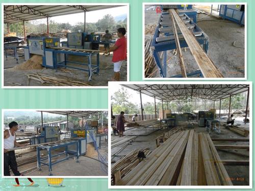 廣西-桂林-原木多片鋸250-方木70-加工現(xiàn)場(chǎng)