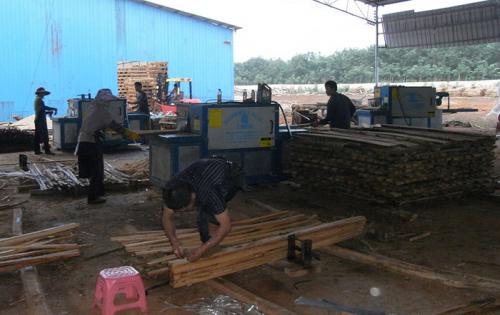 海南島-圓木-方木-多片鋸加工現場