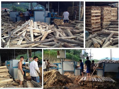 圓木多片鋸-越南-廣寧省-先安250型機(jī)加工現(xiàn)場(chǎng)