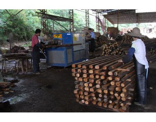 廣東-梅州-250圓木多片鋸加工現場