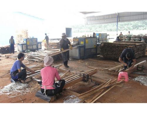 海南島-方木多片鋸加工現場