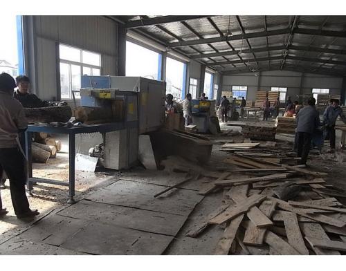 江蘇省-淮安市-楚洲區(qū)-鋸35圓木加工現(xiàn)場0
